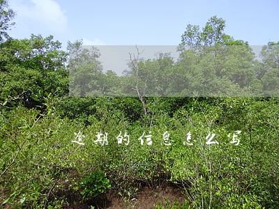 逾期的信息怎么写 逾期的信息怎么写