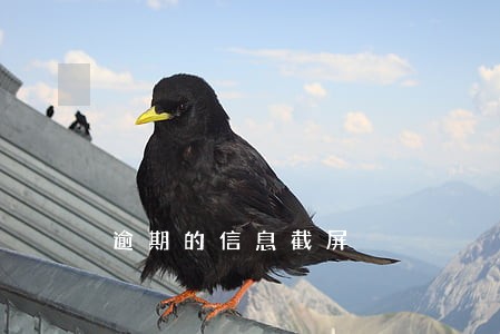 逾期的信息截屏 逾期的信息截屏