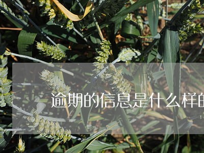 逾期的信息是什么样的
