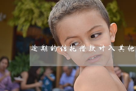 逾期的信托借款计入其他应付款 逾期的信托借款计入其他应付款