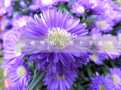 逾期的信用卡交清后多久能注销 逾期的信用卡交清后多久能注销