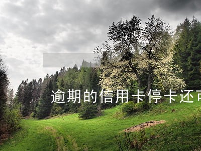 逾期的信用卡停卡还可以使用吗 逾期的信用卡停卡还可以使用吗