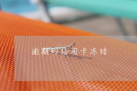 逾期的信用卡冻结 逾期的信用卡冻结