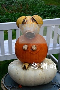逾期的信用卡可以分期麽 逾期的信用卡可以分期麽