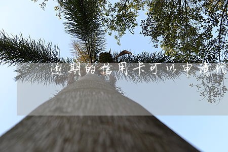 逾期的信用卡可以申请代还么 逾期的信用卡可以申请代还么