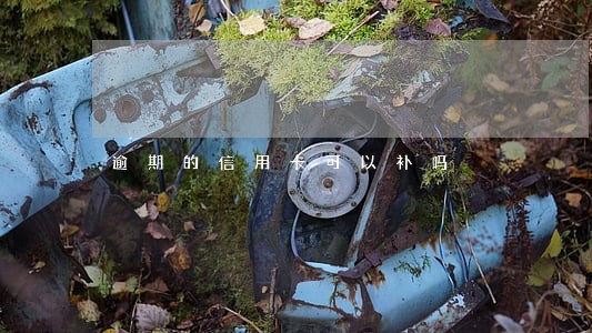 逾期的信用卡可以补吗 逾期的信用卡可以补吗