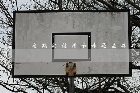 逾期的信用卡咋还去银行吗 逾期的信用卡咋还去银行吗