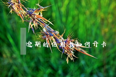 逾期的信用卡如何开卡 逾期的信用卡如何开卡