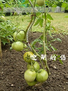 逾期的信用卡强制销户了 逾期的信用卡强制销户了