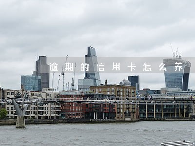 逾期的信用卡怎么养 逾期的信用卡怎么养
