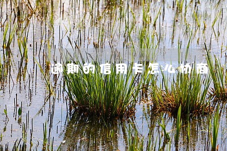 逾期的信用卡怎么协商 逾期的信用卡怎么协商