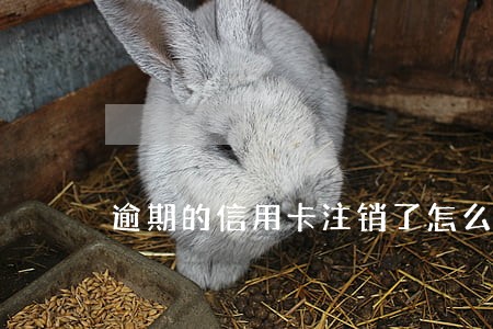 逾期的信用卡注销了怎么办