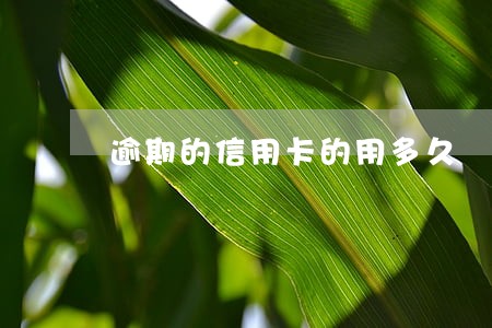逾期的信用卡的用多久 逾期的信用卡的用多久