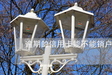 逾期的信用卡能不能销户 逾期的信用卡能不能销户