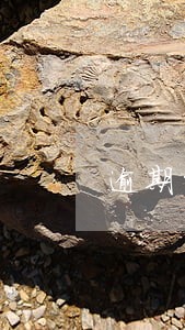 逾期的信用卡能养吗 逾期的信用卡能养吗