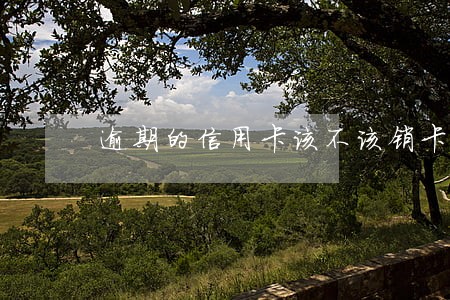 逾期的信用卡该不该销卡