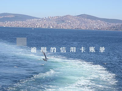 逾期的信用卡账单 逾期的信用卡账单