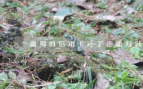 逾期的信用卡还了还能有吗 逾期的信用卡还了还能有吗
