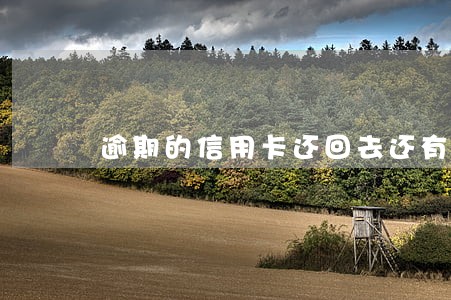 逾期的信用卡还回去还有额度吗 逾期的信用卡还回去还有额度吗