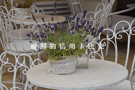 逾期的信用卡还完 逾期的信用卡还完