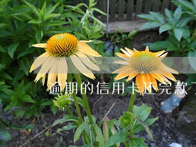 逾期的信用卡还完款了要注销吗