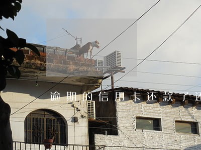 逾期的信用卡还款了还能用 逾期的信用卡还款了还能用