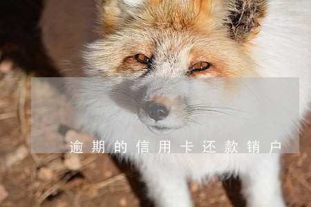 逾期的信用卡还款销户 逾期的信用卡还款销户