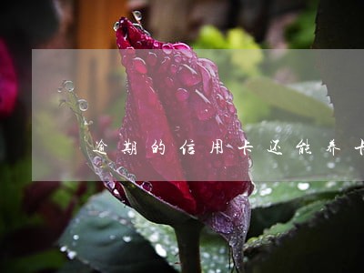 逾期的信用卡还能养卡吗 逾期的信用卡还能养卡吗