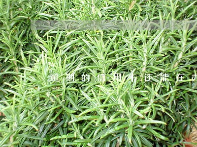 逾期的信用卡还能在办理吗 逾期的信用卡还能在办理吗