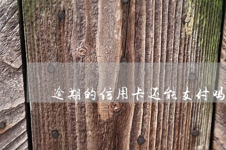 逾期的信用卡还能支付吗 逾期的信用卡还能支付吗