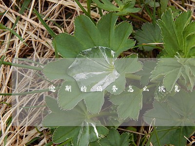 逾期的信誉怎么恢复 逾期的信誉怎么恢复