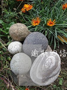 逾期的信贷员 逾期的信贷员