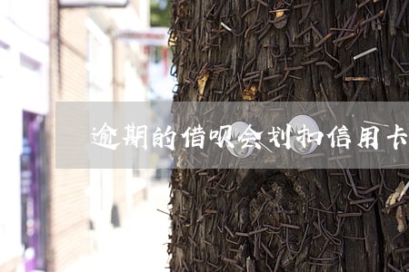 逾期的借呗会划扣信用卡的钱吗 逾期的借呗会划扣信用卡的钱吗