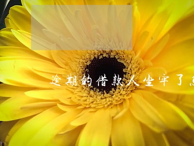 逾期的借款人坐牢了怎么办 逾期的借款人坐牢了怎么办