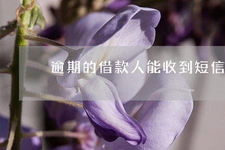逾期的借款人能收到短信吗 逾期的借款人能收到短信吗