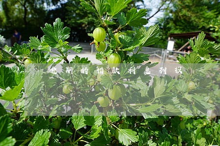 逾期的借款利息列报 逾期的借款利息列报