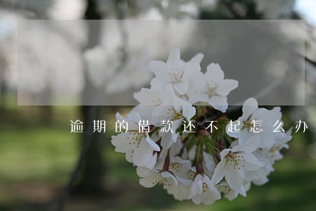 逾期的借款还不起怎么办 逾期的借款还不起怎么办