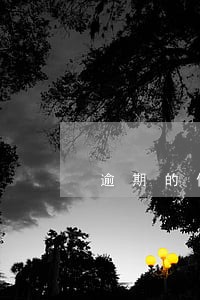 逾期的借贷 逾期的借贷