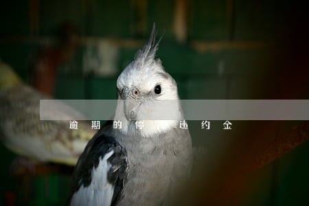 逾期的停滞违约金 逾期的停滞违约金