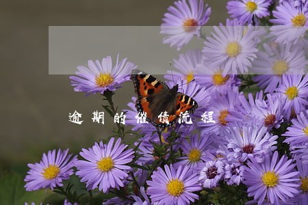 逾期的催债流程 逾期的催债流程
