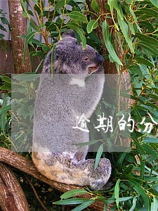 逾期的分期应该一次还清 逾期的分期应该一次还清