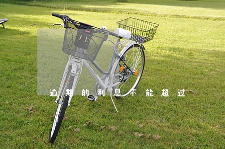 逾期的利息不能超过 逾期的利息不能超过