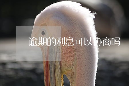 逾期的利息可以协商吗 逾期的利息可以协商吗