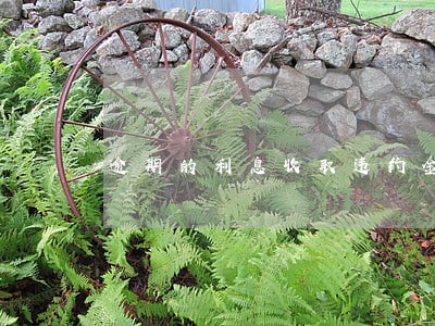 逾期的利息收取违约金合法吗 逾期的利息收取违约金合法吗