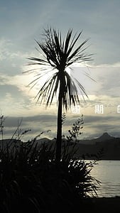 逾期的利息是从立案日算起吗