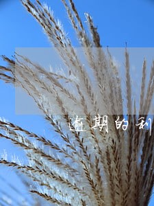 逾期的利息是怎样计算 逾期的利息是怎样计算