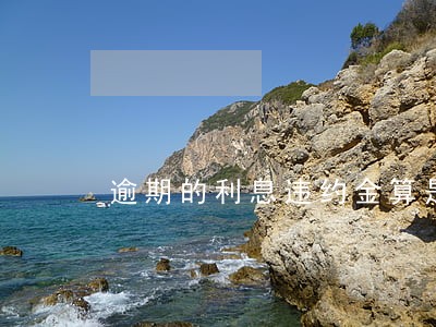 逾期的利息违约金算是年利率吗 逾期的利息违约金算是年利率吗