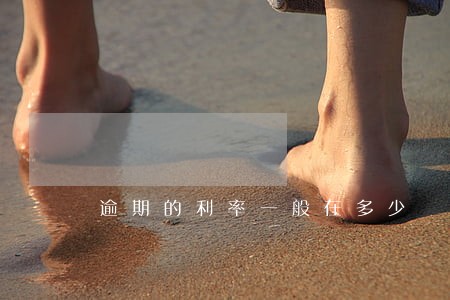 逾期的利率一般在多少 逾期的利率一般在多少