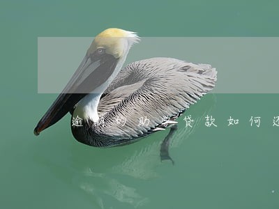 逾期的助学贷款如何还