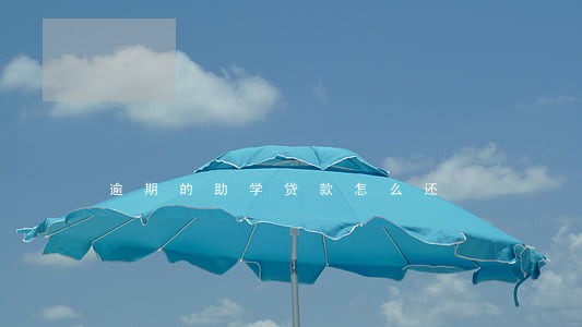 逾期的助学贷款怎么还 逾期的助学贷款怎么还